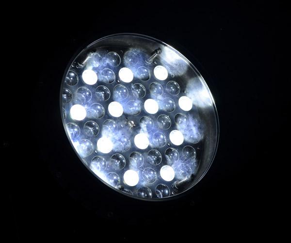 Étape professionnelle de Cree de la lampe LED du bourdonnement extérieur LED de pair allumant IP65 imperméable